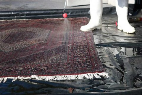 قالیشویی در حسن آباد