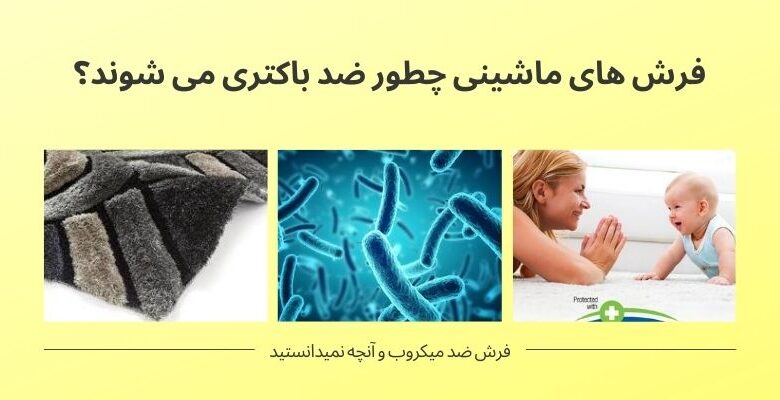 ویروس ها و باکتری های داخل فرش