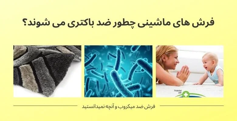 ویروس ها و باکتری های داخل فرش