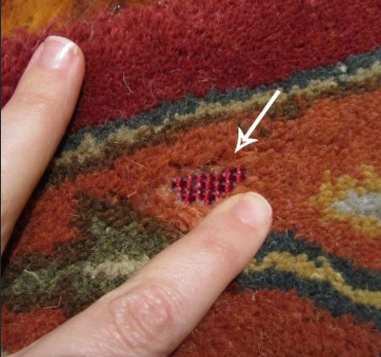 ذرتی شدن فرش به چه معناست و راه های رفع آن -قالیشویی بانو